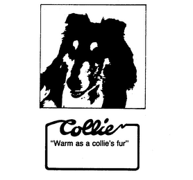 COLLIE "WARM AS A COLLIE'S FUR"
