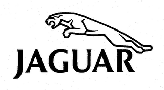 JAGUAR