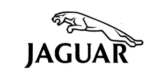 JAGUAR