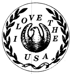 I LOVE THE USA
