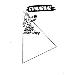 GUMABONE SAVES MONEY & DOGS' LIVES