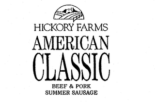 HICKORY FARMS AMERICAN CLASSIC BEEF & PORK SUMMER SAUSAGE