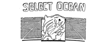 SELECT OCEAN