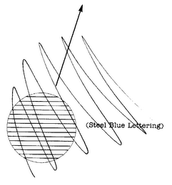 AMERICA'S HEALTH PLAN