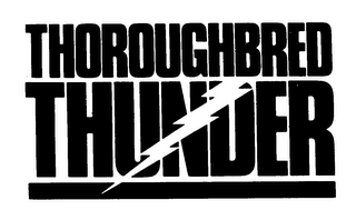 THOROUGHBRED THUNDER