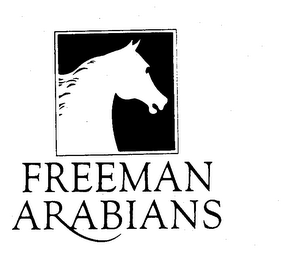 FREEMAN ARABIANS