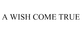 A WISH COME TRUE
