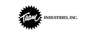 TEAM INDUSTRIES, INC.