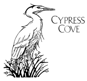 CYPRESS COVE