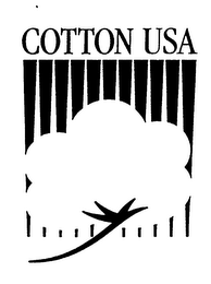 COTTON USA