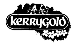 KERRYGOLD