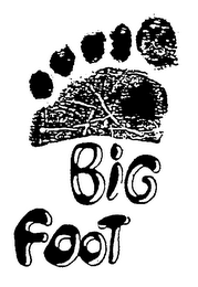 BIG FOOT