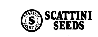 SCATTINI SEEDS S SCATTINI SEEDS, INC.