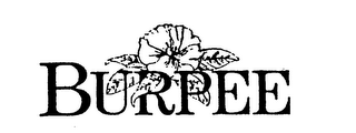 BURPEE