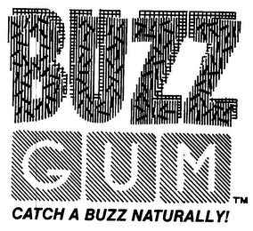 BUZZ GUM CATCH A BUZZ NATURALLY!