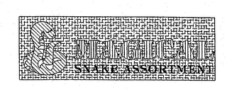 MAGICAL SNAKE ASSORTMENT
