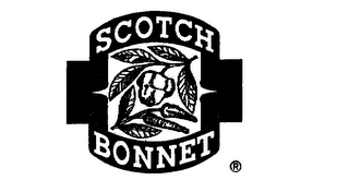 SCOTCH BONNET