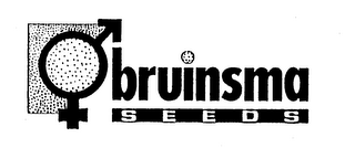 BRUINSMA SEEDS