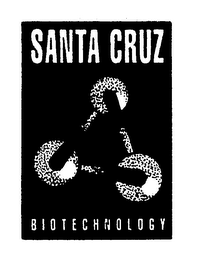 SANTA CRUZ BIOTECHNOLOGY