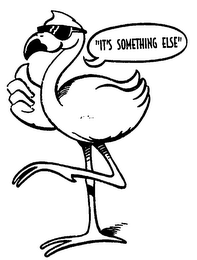 "IT'S SOMETHING ELSE"