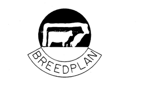 BREEDPLAN
