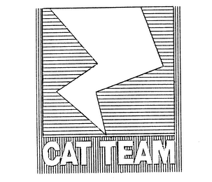 CAT TEAM