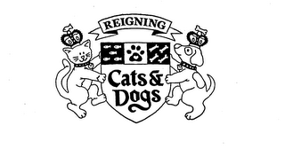 REIGNING CATS & DOGS