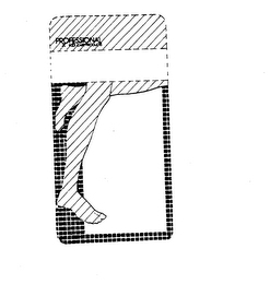 PROFESSIONAL FOOT CARE PRODUCTS