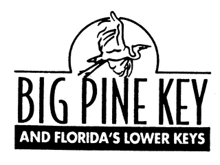 BIG PINE KEY AND FLORIDA'S LOWER KEYS