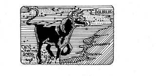 TAURUS