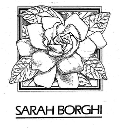 SARAH BORGHI