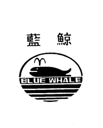 BLUE WHALE