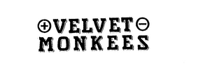 VELVET MONKEES