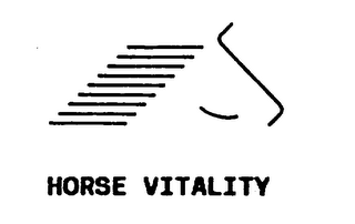 HORSE VITALITY