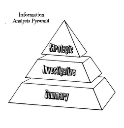 INFORMATION ANALYSIS PYRAMID STRATEGIC INVESTIGATIVE SUMMARY