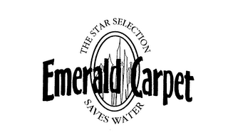 THE STAR SELECTION SAVES WATER EMERALD CARPET