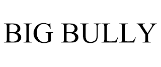 BIG BULLY