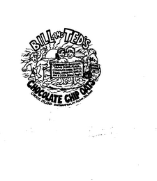 BILL AND TED'S CHOCOLATE CHIP OATS COOKIE ISLAND