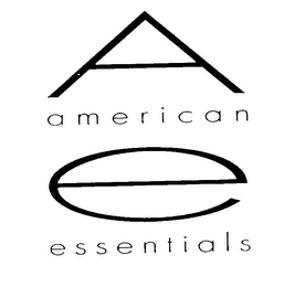 A E AMERICAN ESSENTIALS