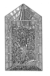 THE GREEN HOUSE COLLECTION