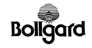 BOLLGARD