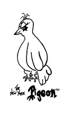 THE NEW YORK PIGEON