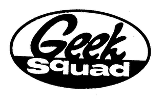 GEEK SQUAD