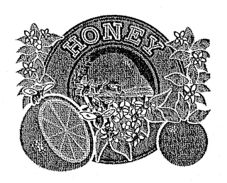 HONEY