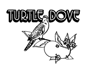 TURTLE DOVE