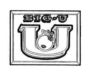 BIG-U