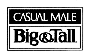 CASUAL MALE BIG & TALL