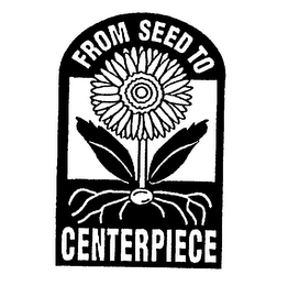 FROM SEED TO CENTERPIECE