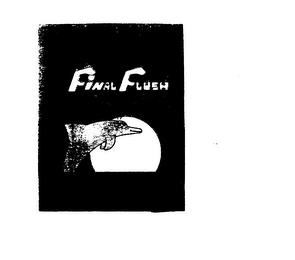 FINAL FLUSH