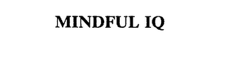 MINDFUL IQ